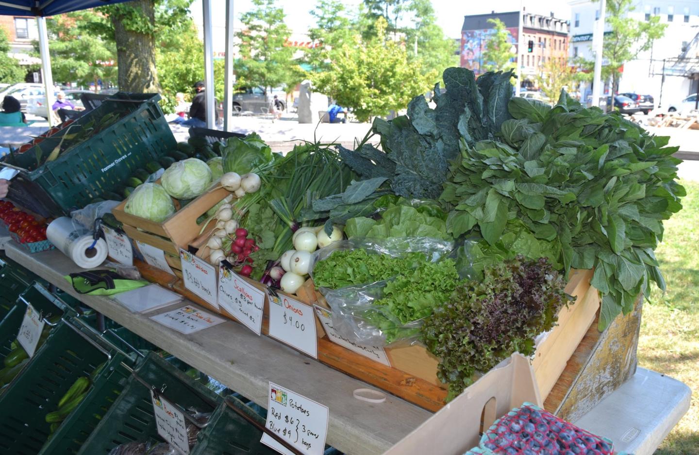 East Boston Farmers Market Boston Harbor Shipyard & Marina